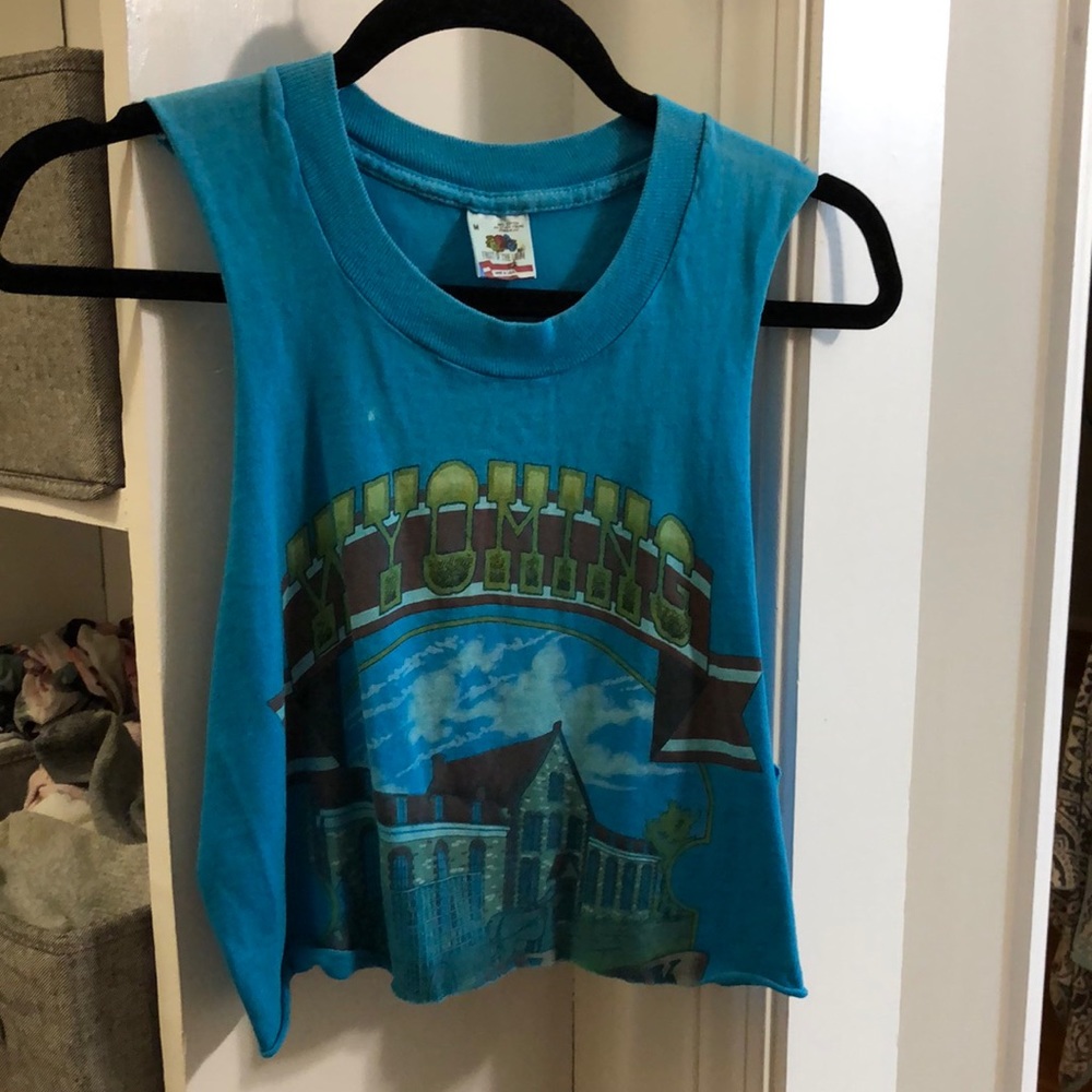 Vintage fruit of the loom Wyoming crop top in medium